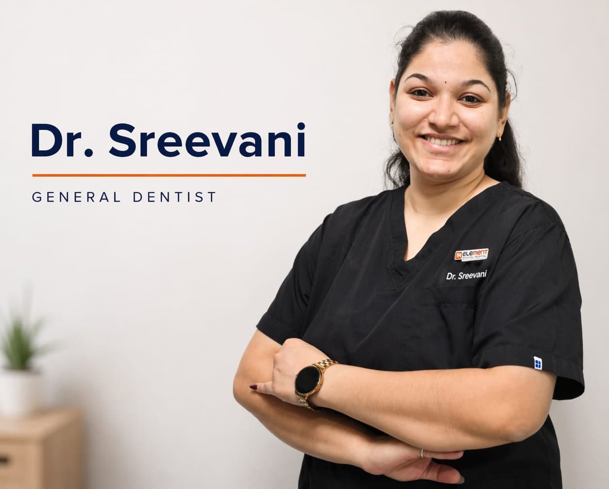 Dr. N Sreevani